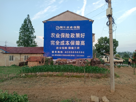  桐庐墙体广告为何受追捧？